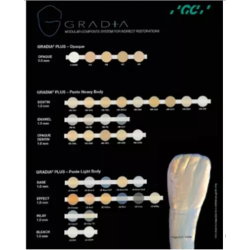 2012 New Gradia Direct Shade Guide 1 pc.
