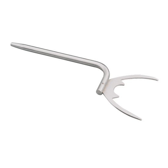 Edentulous Bitefork