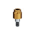 LOCATOR Abutment for Southern ITC 3.3, 4.1, 4.9 & 5.2 Implants, 4.8m Dia, 3.0mm Cuff Height
