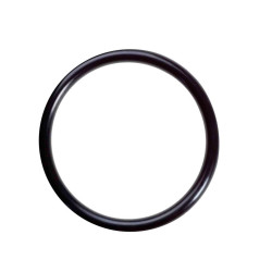 O Ring # 6505 