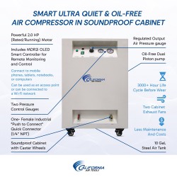 CALIFORNIA AIR TOOLS 10020SMSPC