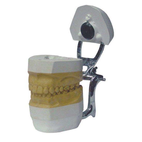 Magnet X Articulator