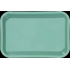 Mini Tray (Green)