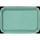 Mini Tray (Green)