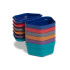Denture Box (12pk)