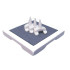 C-010 (2/Rec.Tray 2/Cbn Plts) Combo