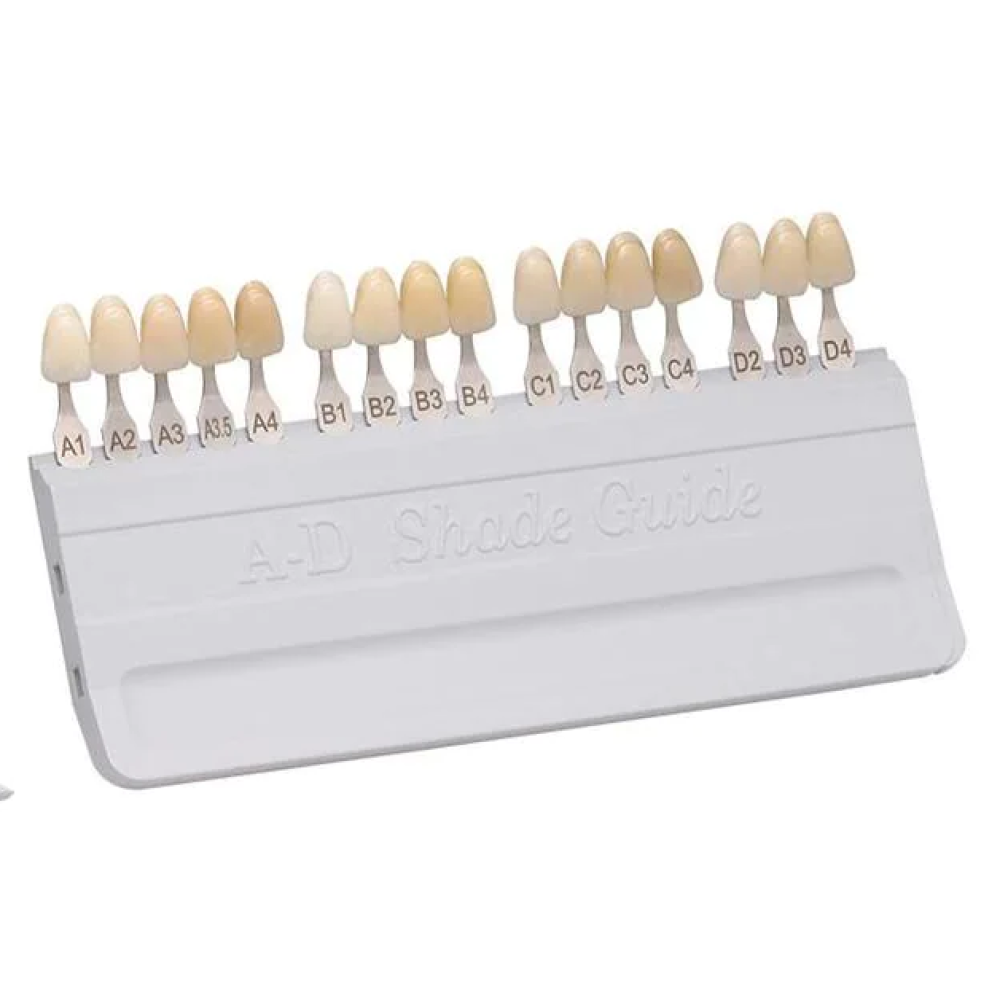 628587 Universal A-D Shade Guide