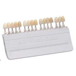 Universal A-D Shade Guide