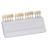 Universal A-D Shade Guide