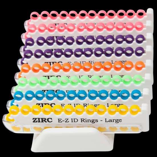 E-Z ID Rings System (Large) (Vibrant)