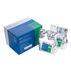 Giroinvest Speed Powder (100x200g)