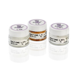 GC Initial® IQ Lustre Pastes ONE Lustre Body Shade D, L-D, 4g