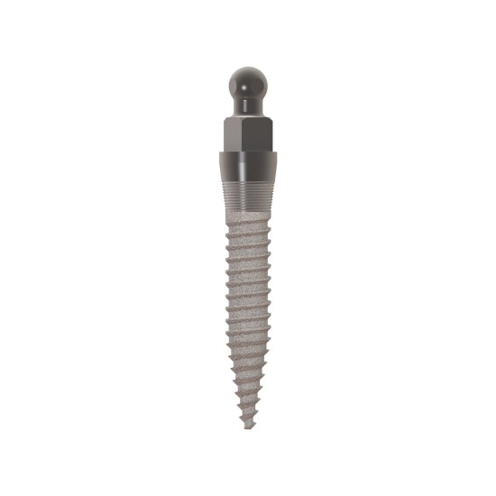 MOR IMPLANT 2.1 X 10MM