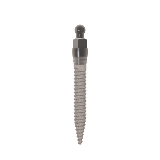 MOR IMPLANT 2.1 X 13MM