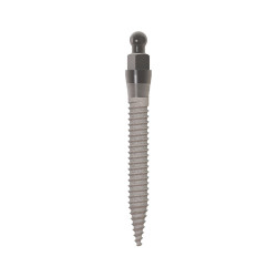 MOR IMPLANT 2.1 X 15MM