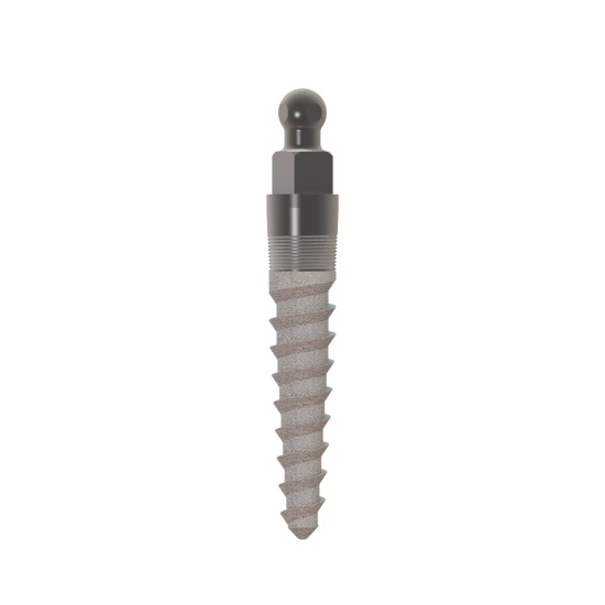 MOR IMPLANT 2.4 X 10MM