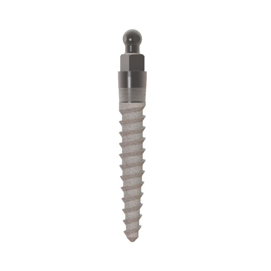 MOR IMPLANT 2.4 X 13MM