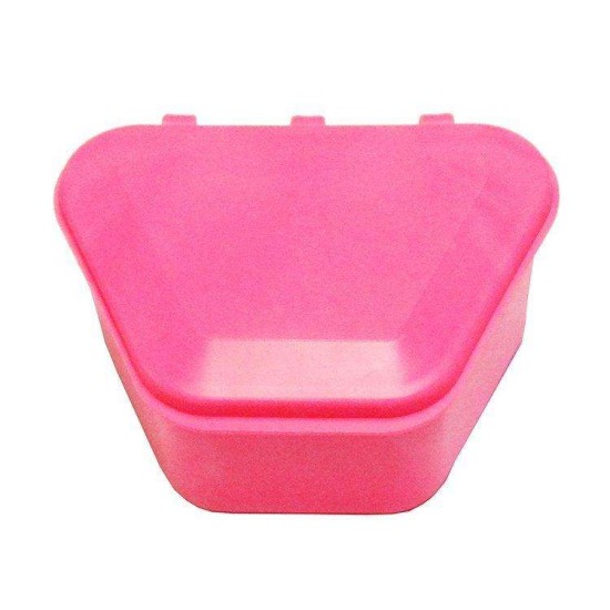 Denture Storage Boxes Pink - 12/pkg