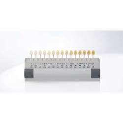 VITA Bleachedguide 3D-Master