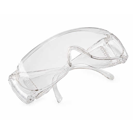GLASSES VISITORS, CLEAR, PKG OF 10