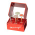 Twist Polisher Lab Kit for Poly-Ceramic According to Dr. Campbell