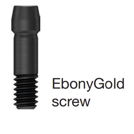 Hiossen Ebony Gold Abutment Screw