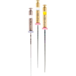 HyFlex GPF NiTi File Assortment, 21mm, 6 pcs