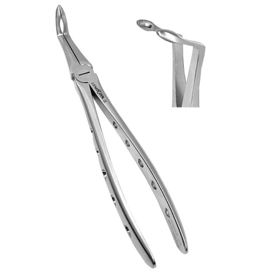 Dental Extracting Forceps Lower Roots, Micro Serrated Edges