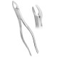 APICAL UPPER UNIVERSAL FORCEP FIG 150