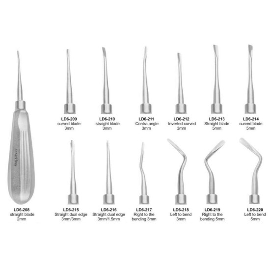 Dental Luxating Elevators Set Of 13pcs