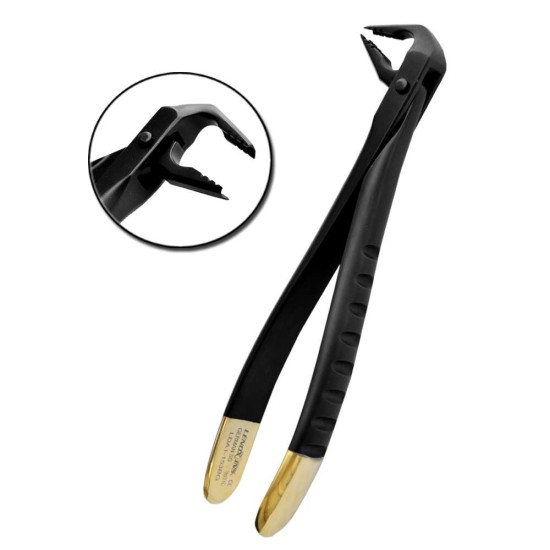 Deep Gripping Atraumatic Extraction Forceps, Lower Anterior, BLACK & GOLD Series