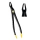 Deep Gripping Atraumatic Extraction Forceps, Upper Molars BLACK & GOLD