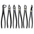Deep Gripping Extracting Forceps Set of 6