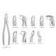 Extracting Forceps Set of 10