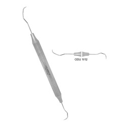 Explorers Perio ODU 11/12