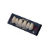 ACRYLIC TEETH-MAIST 28*1