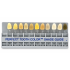 PERFECT SHADE GUIDE (11 SHADES)