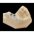 EnvisionTEC | E-Guide Resin 1Kg