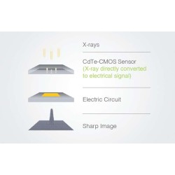 Durray 3D Extraoral X-ray