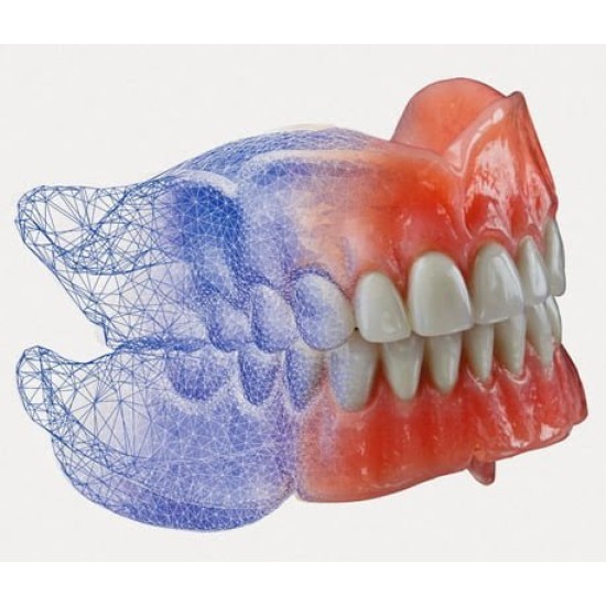 HANDS-ON Training & COURSE - DIGITAL DENTURES HANDS-ON Training & COURSE - DIGITAL DENTURES