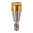 LOC ABUT C/X ANKYLOS,FRIADENT 5.0MM