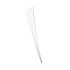 Clasp Wire SS Round 20ga 1 Ft Strip