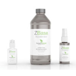 ZBase Accelerator 16oz Spray Ea