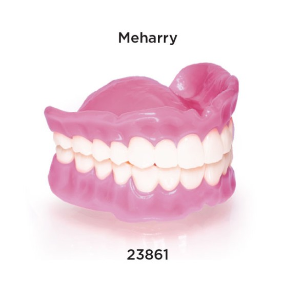 Rodin Denture Base 2.0, Meharry, 1kg/Bottle